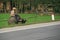 A boy is sat on the back of a buffalo at the edge of a road (Vietnam).