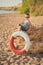 A boy sits on the beach in a striped shirt with a marine lifebuoy, liferound. A boy sits on the sand on a beautiful beach. Beautif