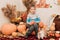 A boy sits among pumpkins with a rabbit. Autumn composition of pumpkins