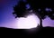 Boy sitting against a tree against a night sky