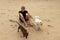 Boy Sitting on Beach with Dogs