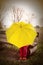 Boy sitting on a bench hidden by an umbrella