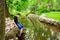 Boy Sitting at edge of stream getting shoes wet