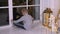 Boy sitting near window at Christmas eve and waiting Santa Claus in living room
