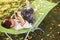 Boy sitting with a tablet in the garden. the boy lies on a deck chair and plays on the tablet