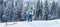 Boy sledding on winter mountain, enjoying a sledge ride in a beautiful snowy winter park. Winter landscape banner.