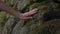 The boy slowly strokes his hand with an old grungy stone overgrown with moss in a wild forest.