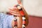 Boy with snakes. Man holds in hands reptile Milk snake Lampropeltis triangulum Arizona kind of snake.