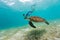 Boy snorkeling with sea turtle