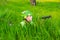 Boy soldier hiding in tall grass