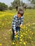 Boy in spring field and playing with daises