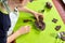 Boy squeezes the shapes from the molds on the rolled brown dough. Pressed shapes are next to prepared for baking.