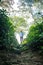 Boy standing green tea garden and long trees on mountains