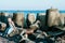 Boy in a striped T-shirt at the seaside breakwater block. boy standing on the beach. kid stands on a rock by the sea