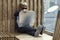 Boy in sunglasses with a suitcase sits by the window