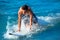 Boy surfer surfing waves on the beach