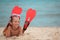 Boy with swimming fins on beach