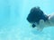 Boy swimming underwater in ocean