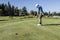 Boy swings back for a putt