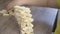 The boy at the table builds a tower of wooden dominoes close-up