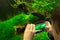 Boy taking picture of aquarium with smart phone