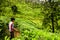 Boy in tea plantation in Idukki, Kerala