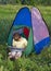 Boy in tent sunny day