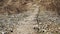 A boy throws pebbles down a long stone staircase . Beautiful slow- motion images