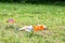 Boy totally exhausted after having fun flying a kite in summer