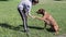 Boy Trains a Dog Giving Paw