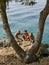 The boy and two girls embraced by the sea