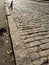 Boy walking cobblestones