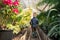 Boy walking in greenhouse with plants back view.