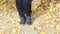 boy walking in the park after school in autumn. feet in sneakers on dry yellow foliage. outdoors