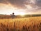 Boy walking through wheat field