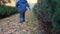 A boy walks through the autumn park, legs close-up.