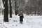 Boy walks in snow-covered winter park. Walking with children in winter