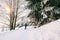 Boy walks in snow forest