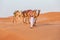 Boy walks a string of camels across sand dunes in Oman