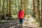 Boy in warm clothes enjoys a walk in a pine forest