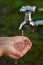 Boy washes his hand under the faucet