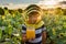 A boy wearing a beekeeper mask holds a jar of honey among a sunflower field and looks into it against the background of sunset