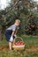 Boy wicker blond red green grass trees apple little help garden pick basket