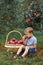 Boy wicker blond red green grass trees apple little help garden pick basket kid