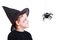 Boy in witch hat and black spider