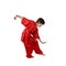 Boy wushu fighters