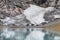 Boyabreen Glacier Reflected on the Brevatnet Lake