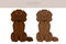 Boykin spaniel clipart. Different coat colors and poses set