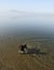 Boykin Spaniel in the Water