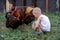 Boys feed chickens and farm animals on their father`s farm in the countryside